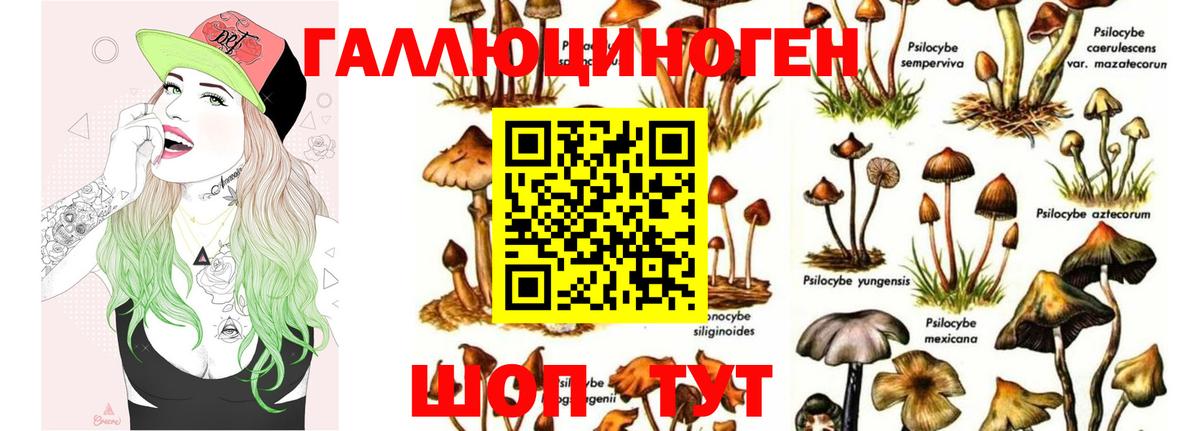 Псилоцибиновые грибы MAGIC MUSHROOMS Орск